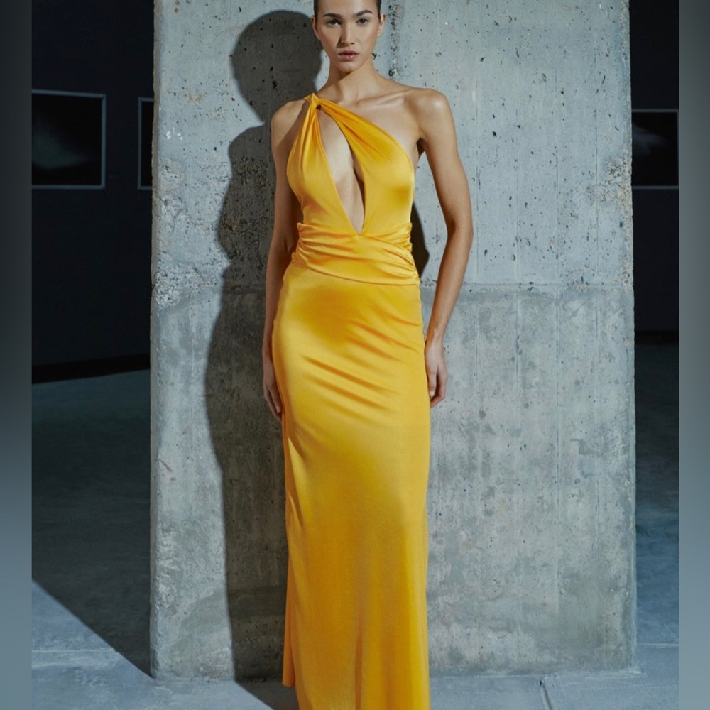 Baobab never worn lola dress